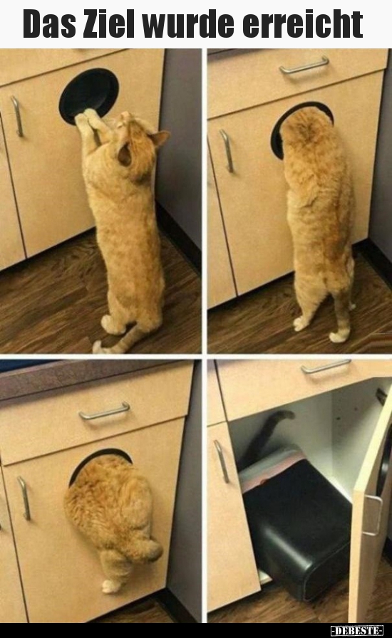 Das Ziel wurde erreicht..