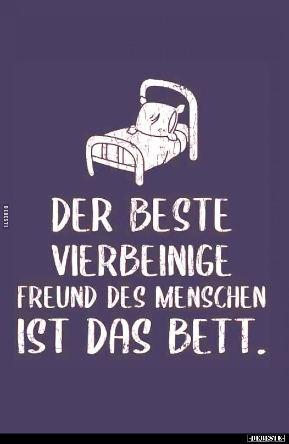 Der beste vierbeinige Freund des Menschen ist das Bett.