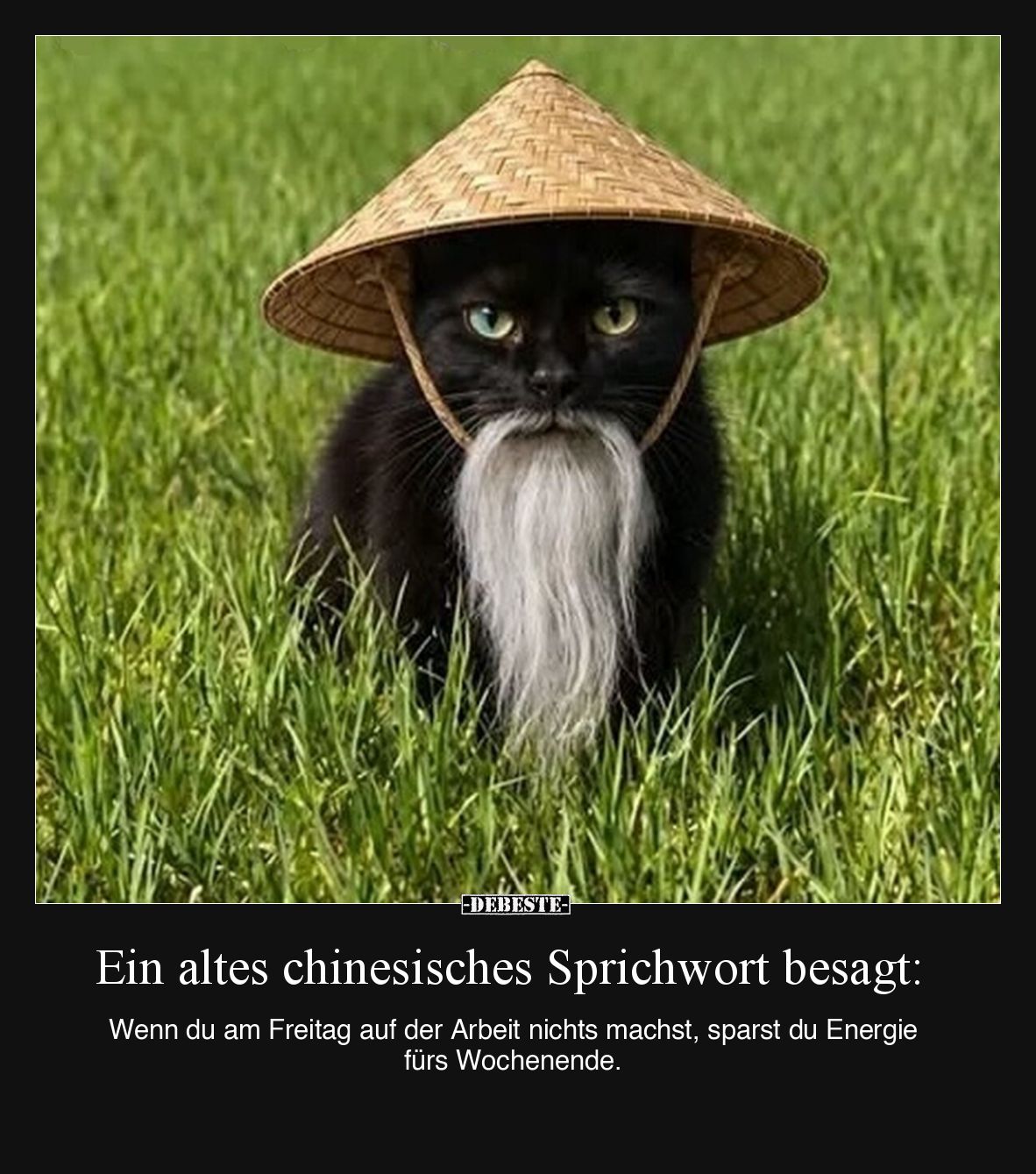 Ein altes chinesisches Sprichwort besagt: Wenn du am Freitag auf der Arbeit nichts machst, sparst du Energie fürs Wochenende.