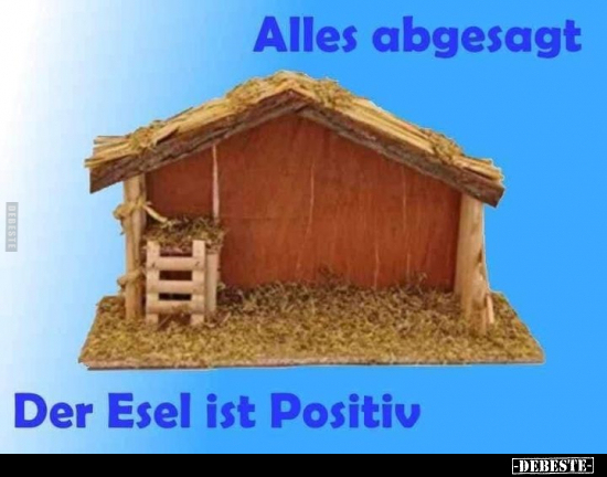 Alles abgesagt - Der Esel ist Positiv.