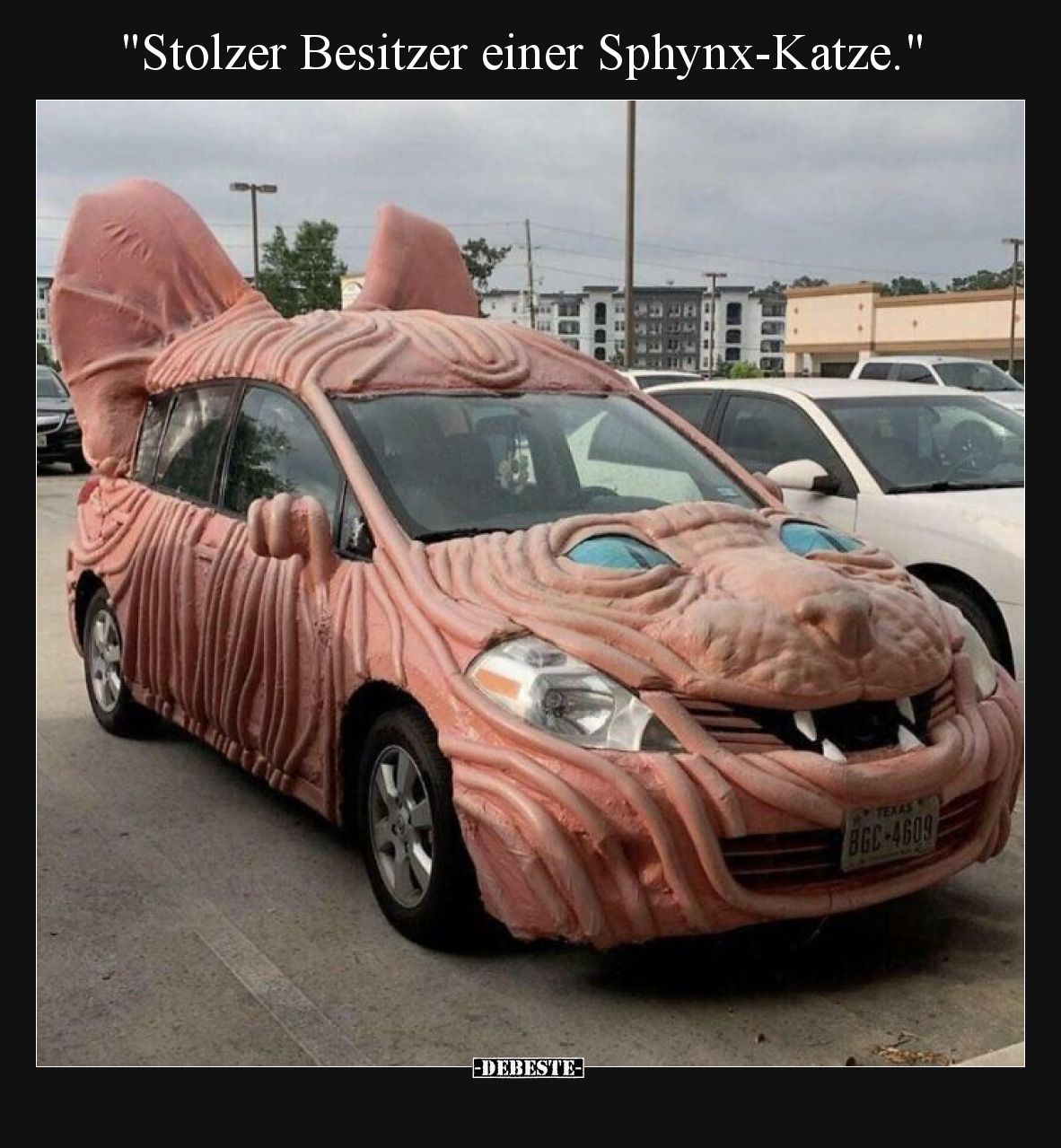 Stolzer Besitzer einer Sphynx-Katze.