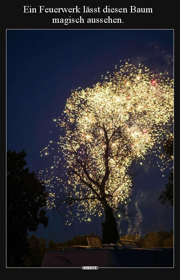 Ein Feuerwerk lässt diesen Baum magisch aussehen... - Lustige Bilder | DEBESTE.de