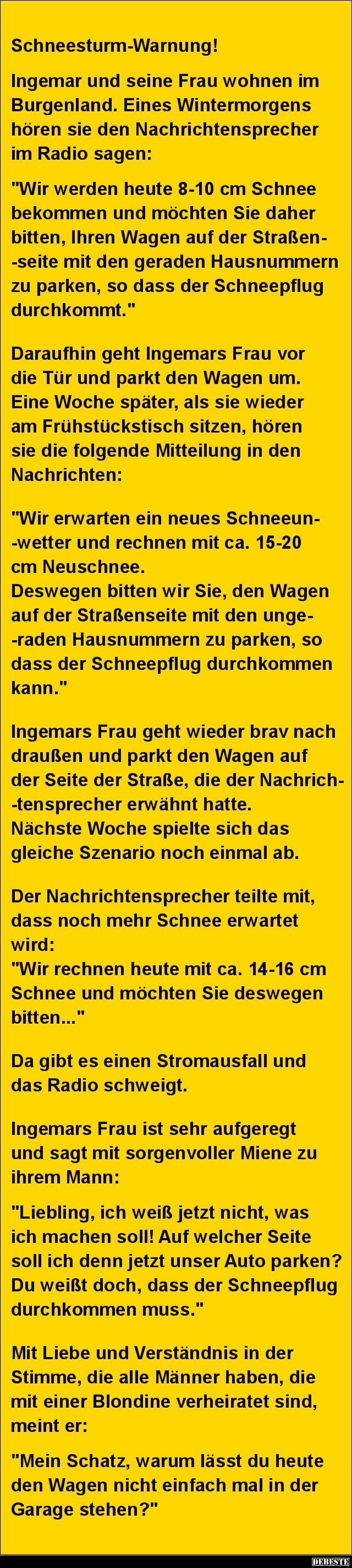 Schneesturm-Warnung! - Lustige Bilder | DEBESTE.de
