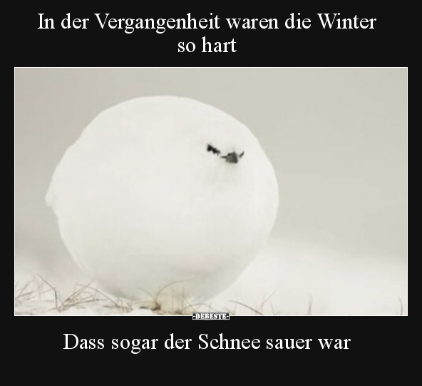 In der Vergangenheit waren die Winter so hart.. - Lustige Bilder | DEBESTE.de