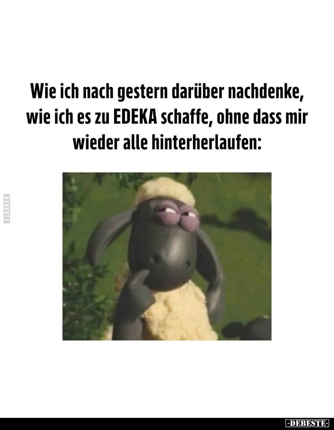 Wie ich nach gestern darüber nachdenke, wie ich es zu EDEKA schaffe, ohne dass mir wieder alle hinterherlaufen: