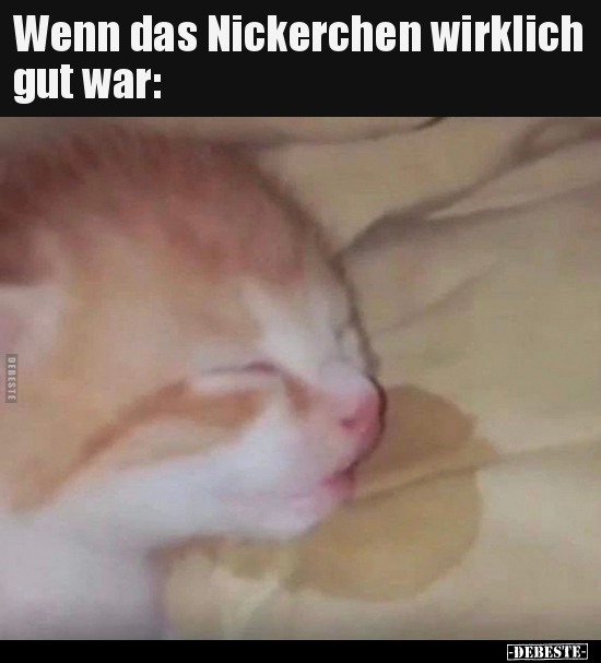 Wenn das Nickerchen wirklich gut war.. - Lustige Bilder | DEBESTE.de