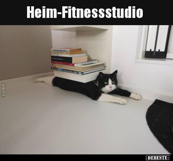 Heim-Fitnessstudio.. - Lustige Bilder | DEBESTE.de