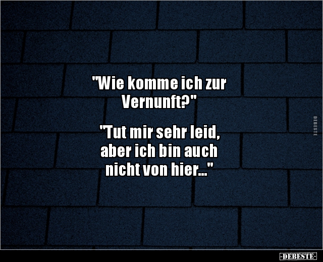 "Wie komme ich zur Vernunft?" "Tut mir sehr leid.." - Lustige Bilder | DEBESTE.de