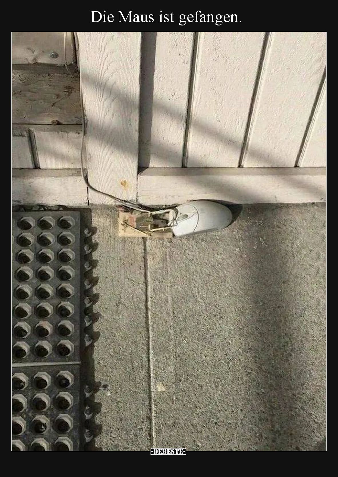 Die Maus ist gefangen.