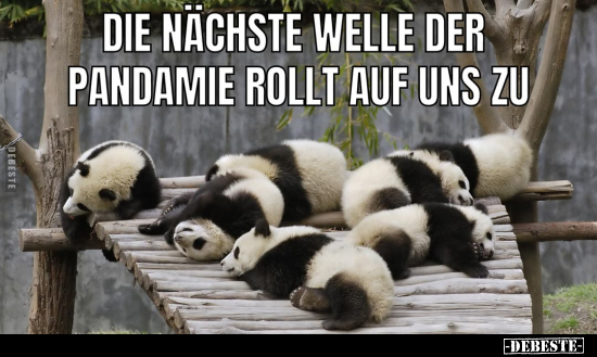Die nächste Welle der Pandamie rollt auf uns zu... - Lustige Bilder | DEBESTE.de