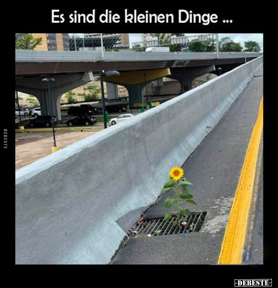 Es sind die kleinen Dinge... - Lustige Bilder | DEBESTE.de