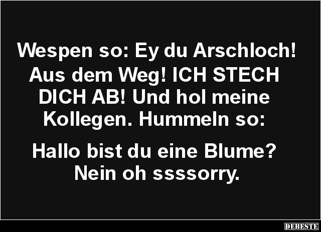 Wespen so: Ey du Arschloch.. - Lustige Bilder | DEBESTE.de