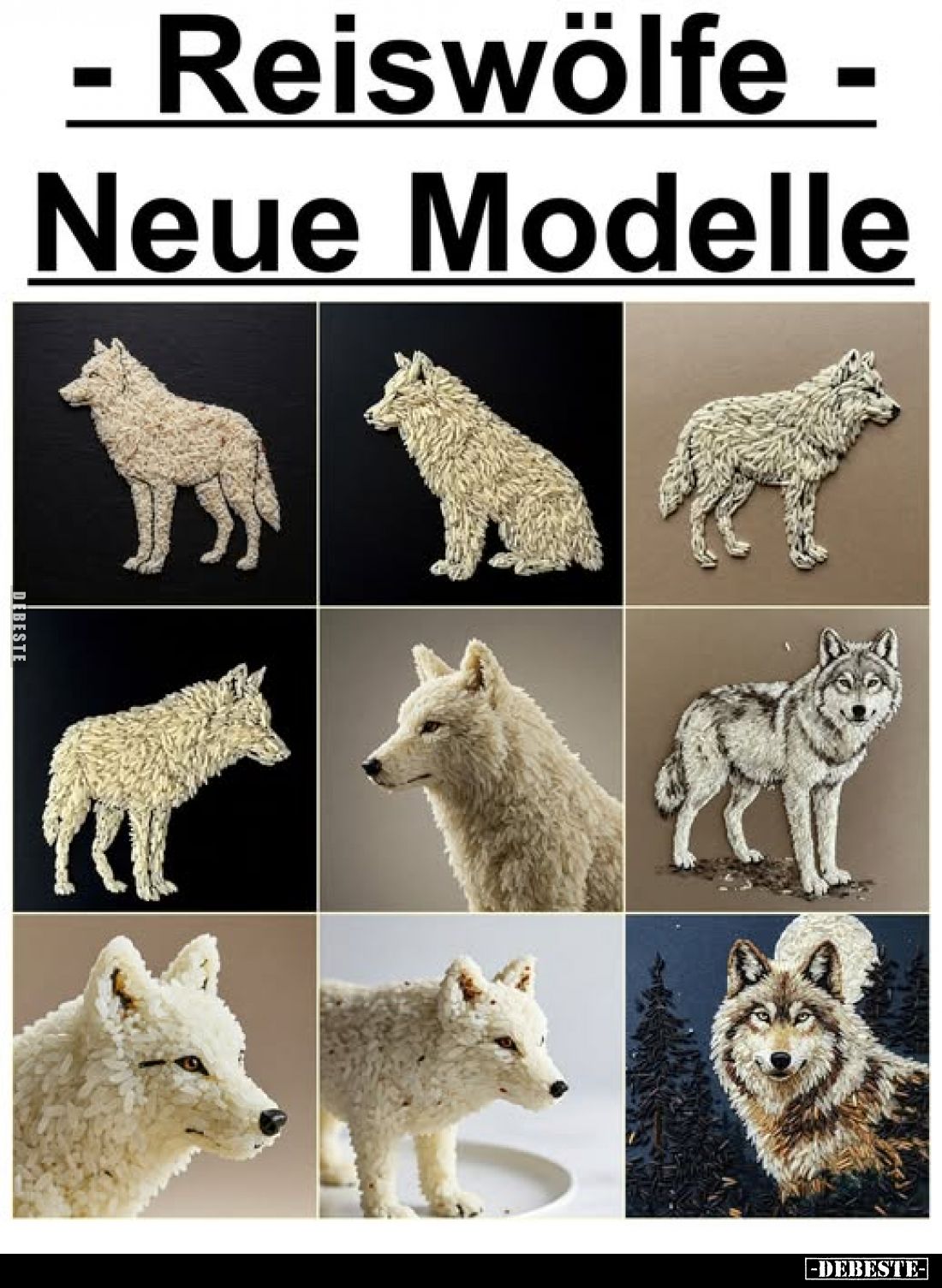 Reiswölfe - Neue Modelle.