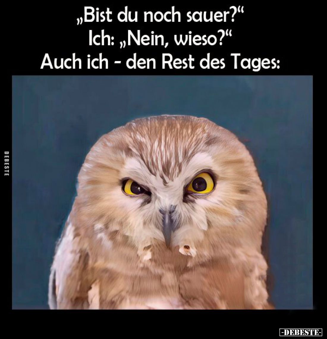 "Bist du noch sauer?" -
Ich: "Nein, wieso?" -
Auch ich - den Rest des Tages: