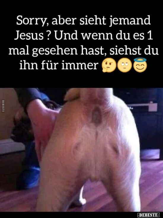 Sorry, aber sieht jemand Jesus?.. - Lustige Bilder | DEBESTE.de