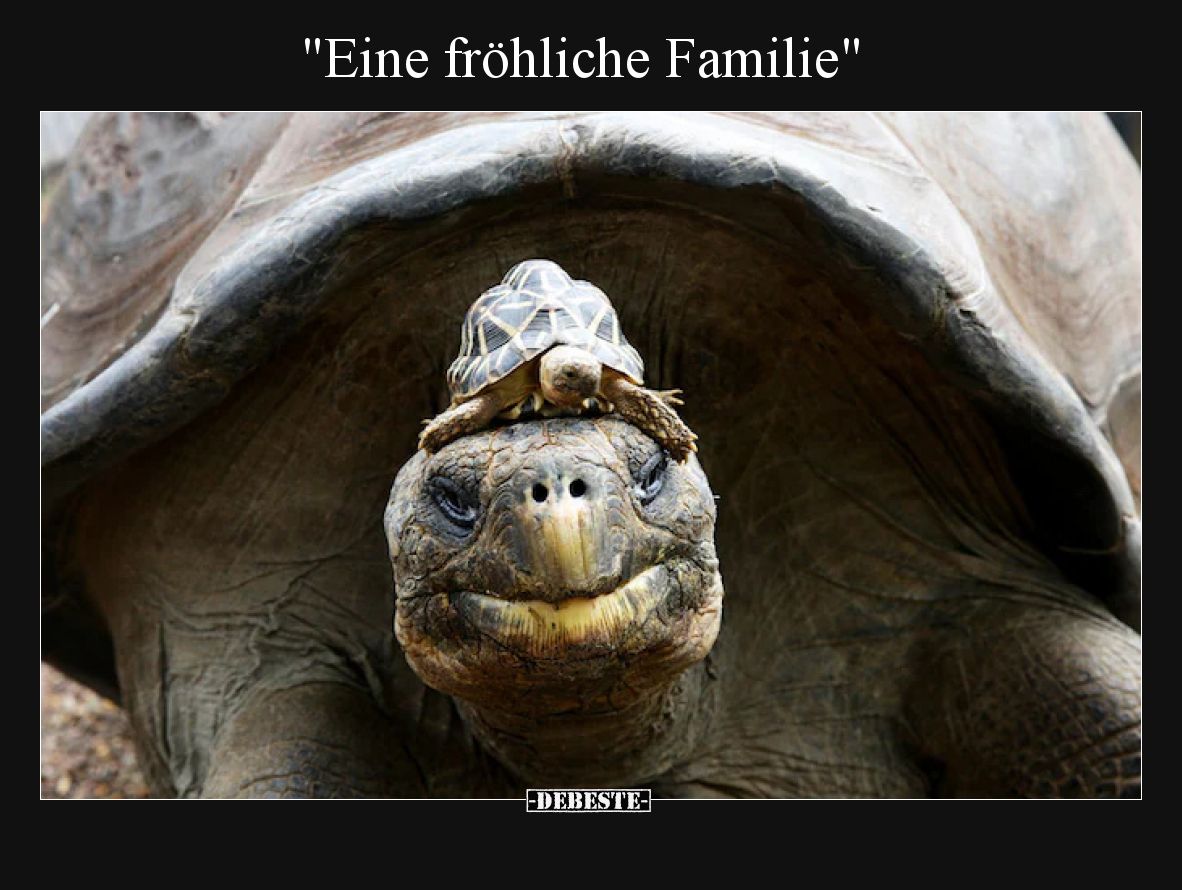 "Eine fröhliche Familie".. - Lustige Bilder | DEBESTE.de