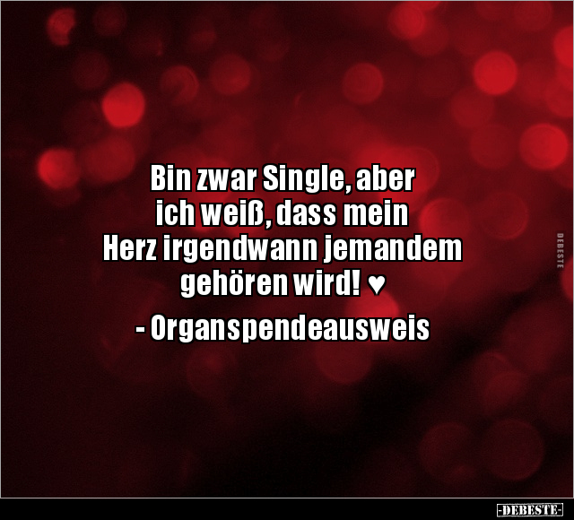 Bin zwar Single, aber ich weiß, dass mein Herz.. - Lustige Bilder | DEBESTE.de