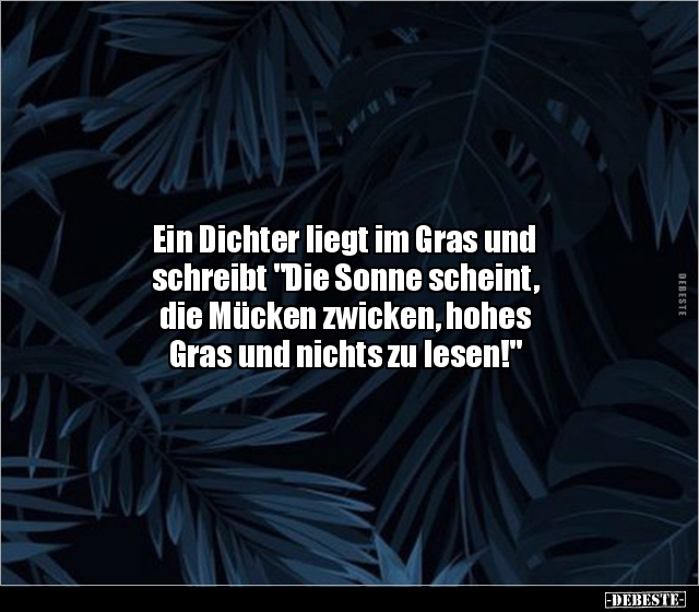 Ein Dichter liegt im Gras und schreibt "Die Sonne scheint.." - Lustige Bilder | DEBESTE.de