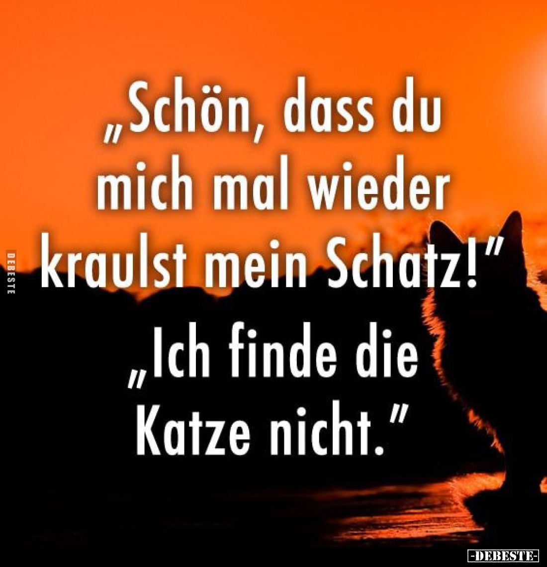 "Schön, dass du mich mal wieder kraulst mein Schatz!"
- "Ich finde die Katze nicht."