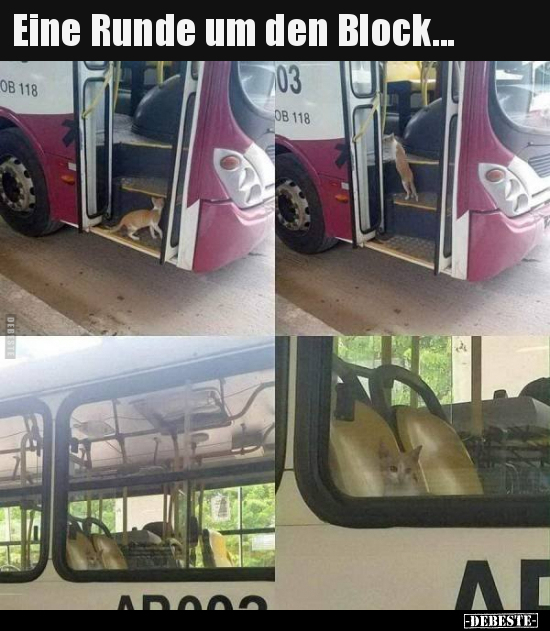 Eine Runde um den Block...