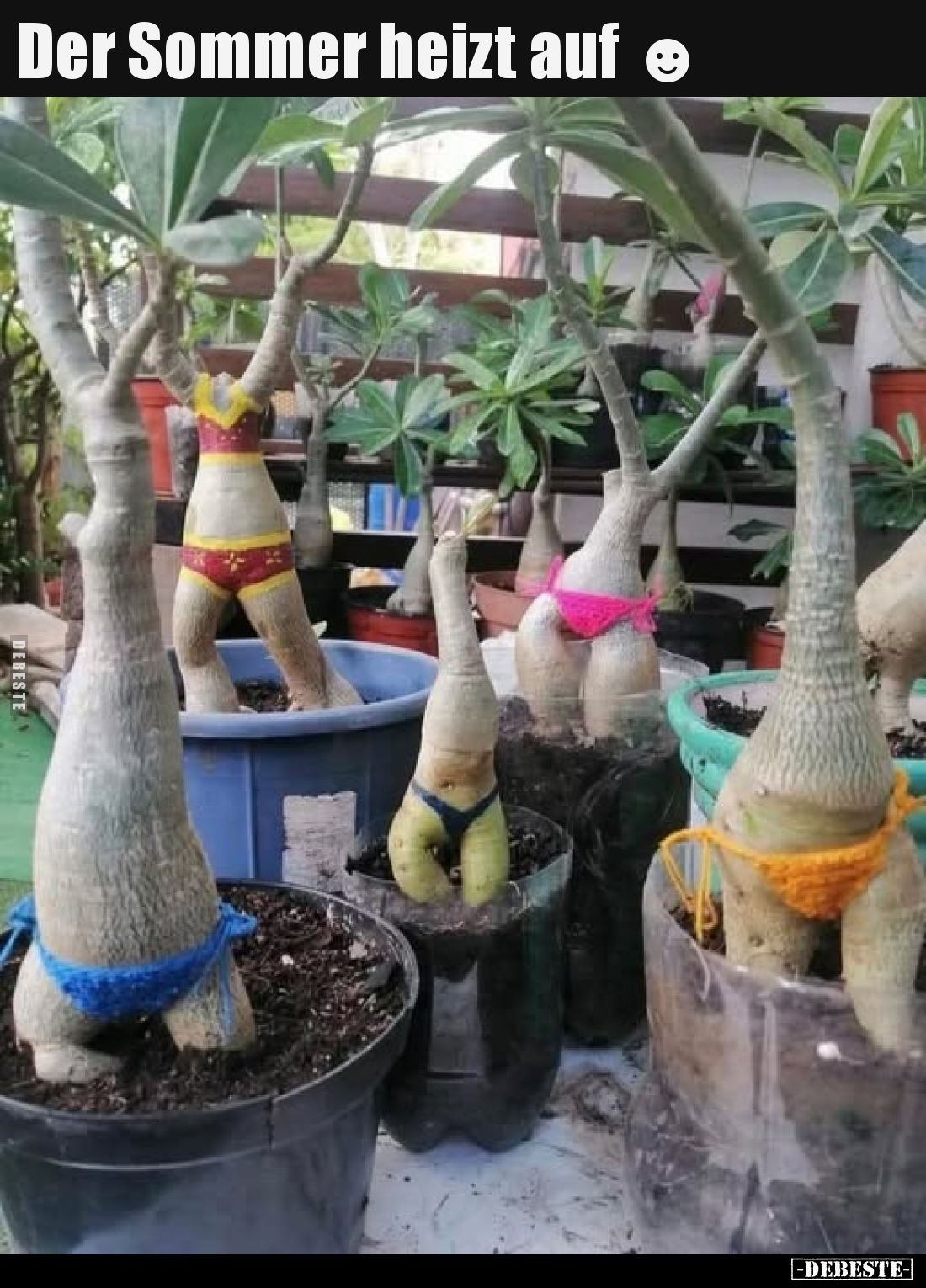 Der Sommer heizt auf.