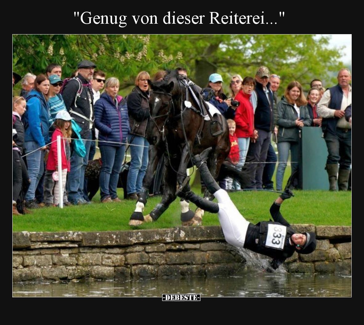 Genug von dieser Reiterei