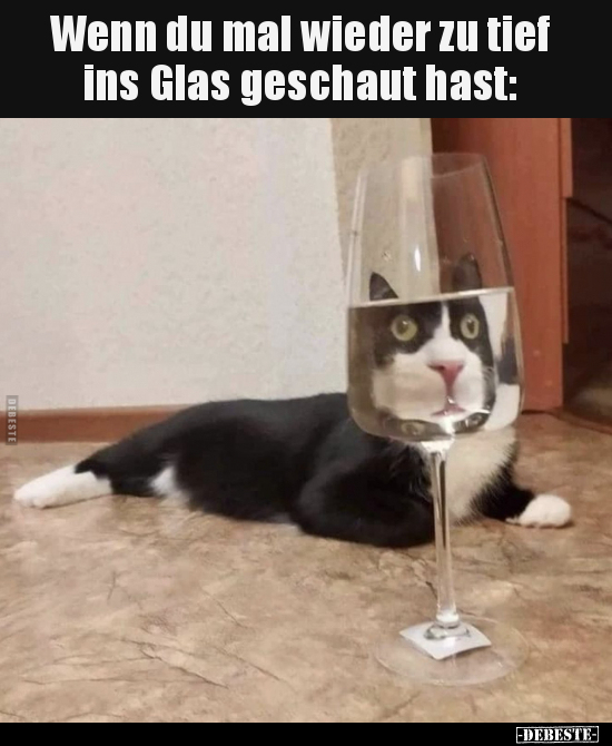 Wenn du mal wieder zu tief ins Glas geschaut hast.. - Lustige Bilder | DEBESTE.de