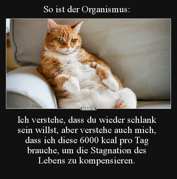 So ist der Organismus: Ich verstehe, dass du wieder schlank.. - Lustige Bilder | DEBESTE.de