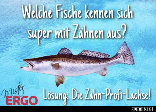 Welche Fische kennen sich super mit Zähnen aus?.. - Lustige Bilder | DEBESTE.de