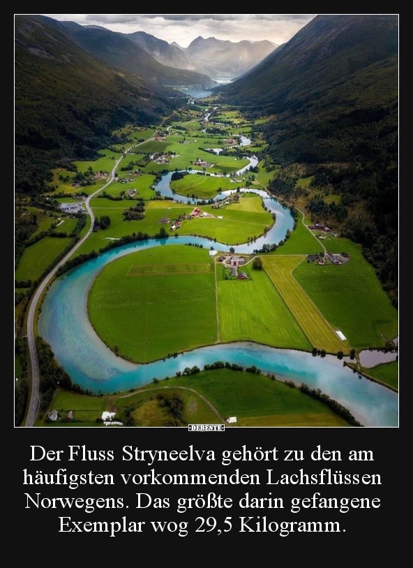 Der Fluss Stryneelva gehört zu den am häufigsten..