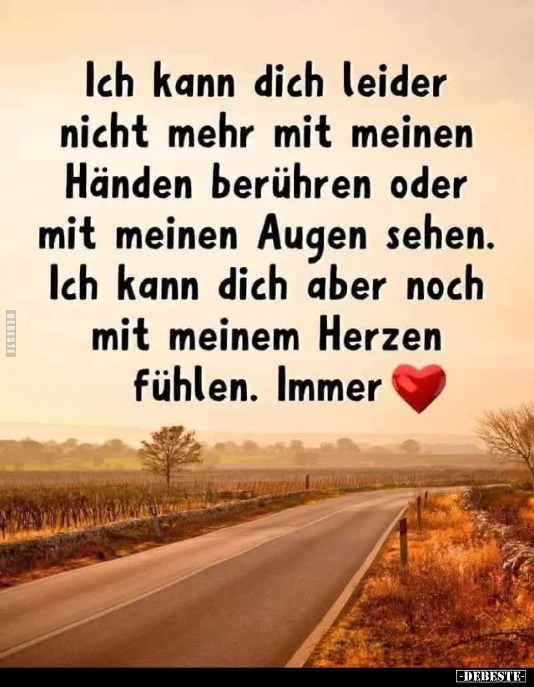 Ich kann dich leider nicht mehr mit meinen Händen berühren oder mit meinen Augen sehen. Ich kann dich aber noch mit meinem He...