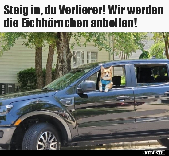 Steig in, du Verlierer! Wir werden die Eichhörnchen..