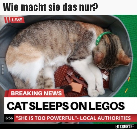 Wie macht sie das nur?..