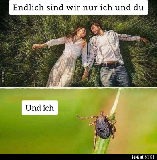 Endlich sind wir nur ich und du
...
Und ich