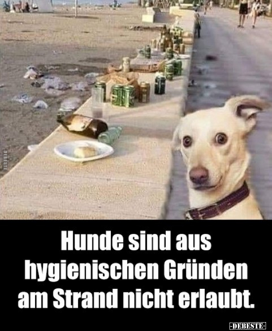 Hunde sind aus hygienischen Gründen am Strand nicht.. - Lustige Bilder | DEBESTE.de
