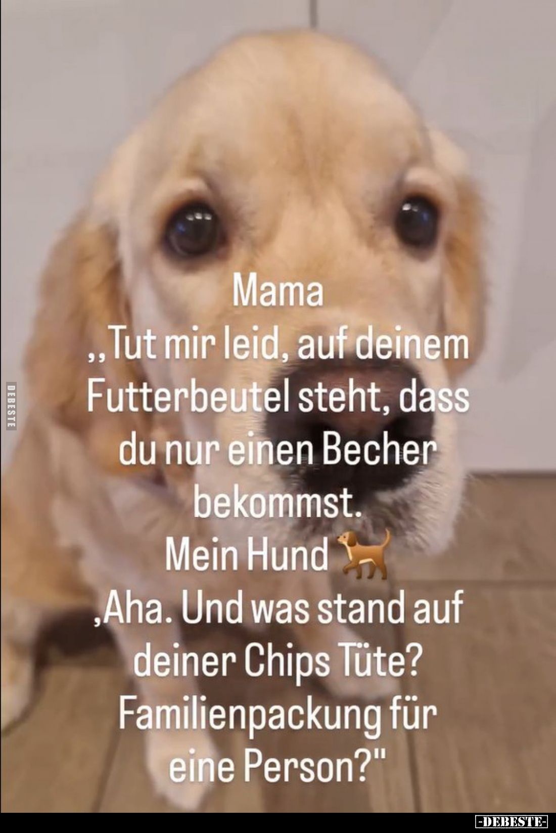 Mama "Tut mir leid, auf deinem Futterbeutel steht, dass du nur einen Becher bekommst." -
Mein Hund "Aha. Und ...