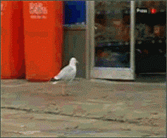 Movenpick.. - Lustige Bilder | DEBESTE.de