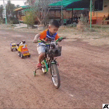 Gute Fuhre! - Lustige Bilder | DEBESTE.de