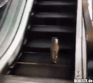 Bisschen Workout schadet ja nicht..