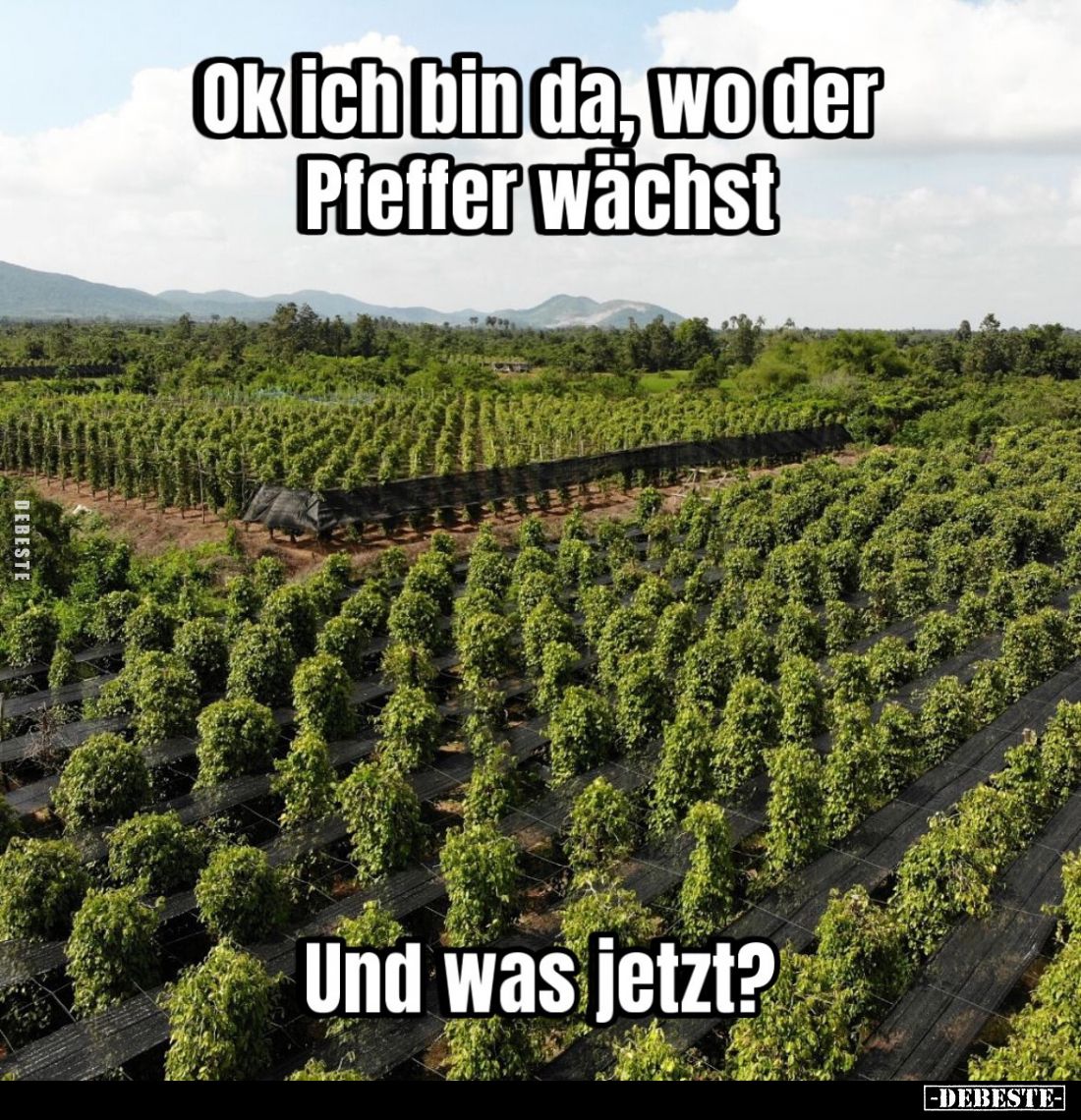 Ok ich bin da, wo der Pfeffer wächst.
Und was jetzt?