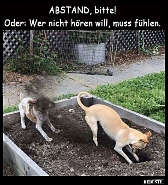 Get Lustige bilder tiere mit spruechen Free HD Lustige Bilder Tiere Mit Spruechen