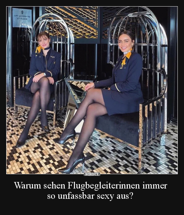 Warum sehen Flugbegleiterinnen immer so unfassbar s*exy.. - Lustige Bilder | DEBESTE.de