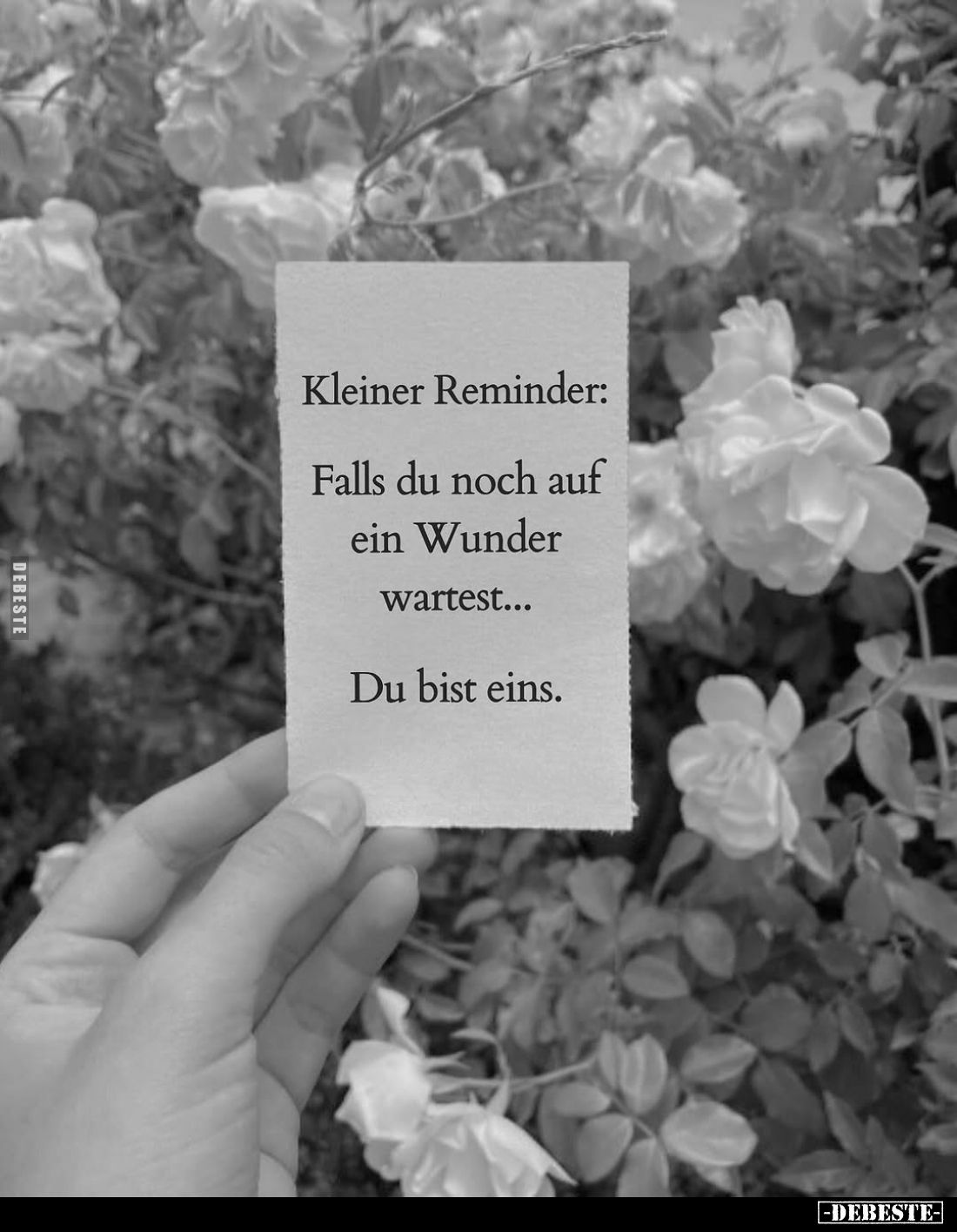 Kleiner Reminder:
Falls du noch auf ein Wunder wartest...
Du bist eins.