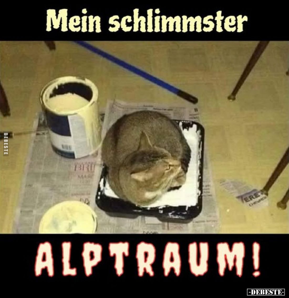Mein schlimmster
ALPTRAUM!