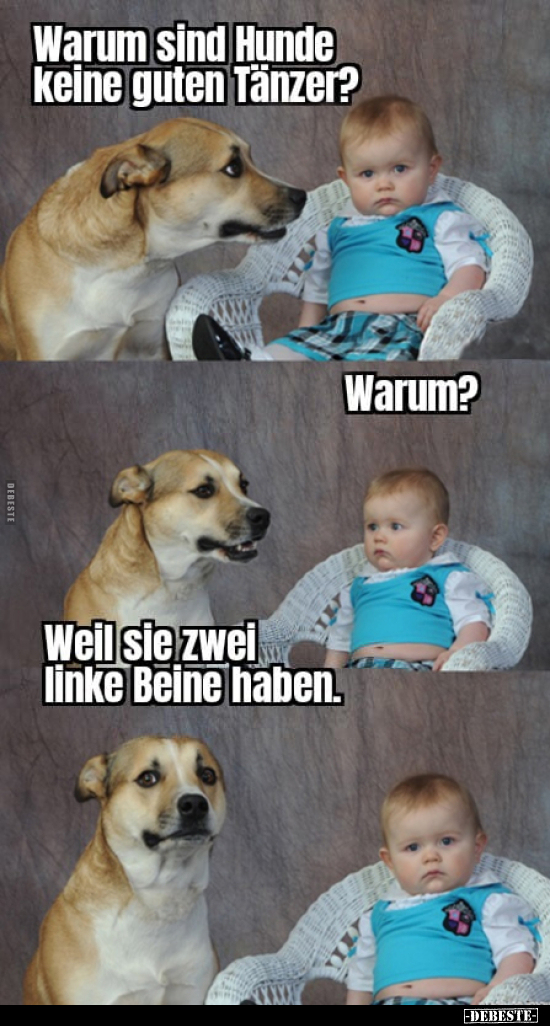 Warum sind Hunde keine guten Tänzer?.. - Lustige Bilder | DEBESTE.de