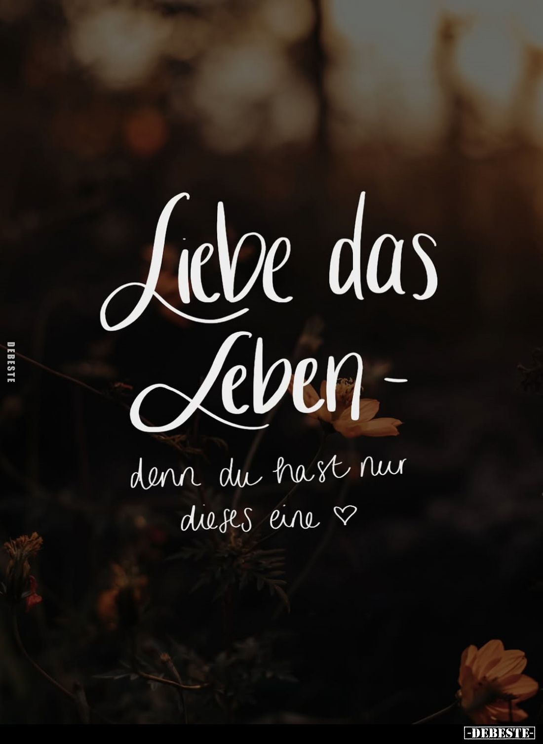 Liebe das Leben -
denn du hast nur dieses eine.