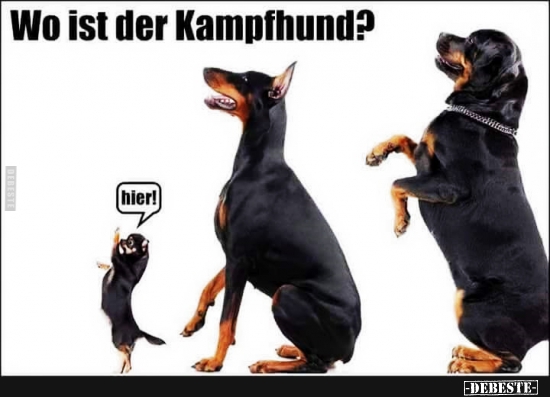 Wo ist der Kampfhund? - Lustige Bilder | DEBESTE.de