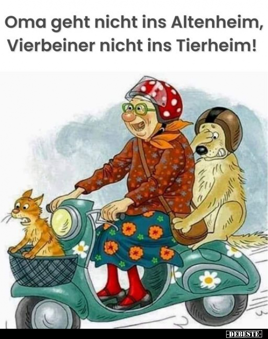 Oma geht nicht ins Altenheim, Vierbeiner nicht ins Tierheim!.. - Lustige Bilder | DEBESTE.de