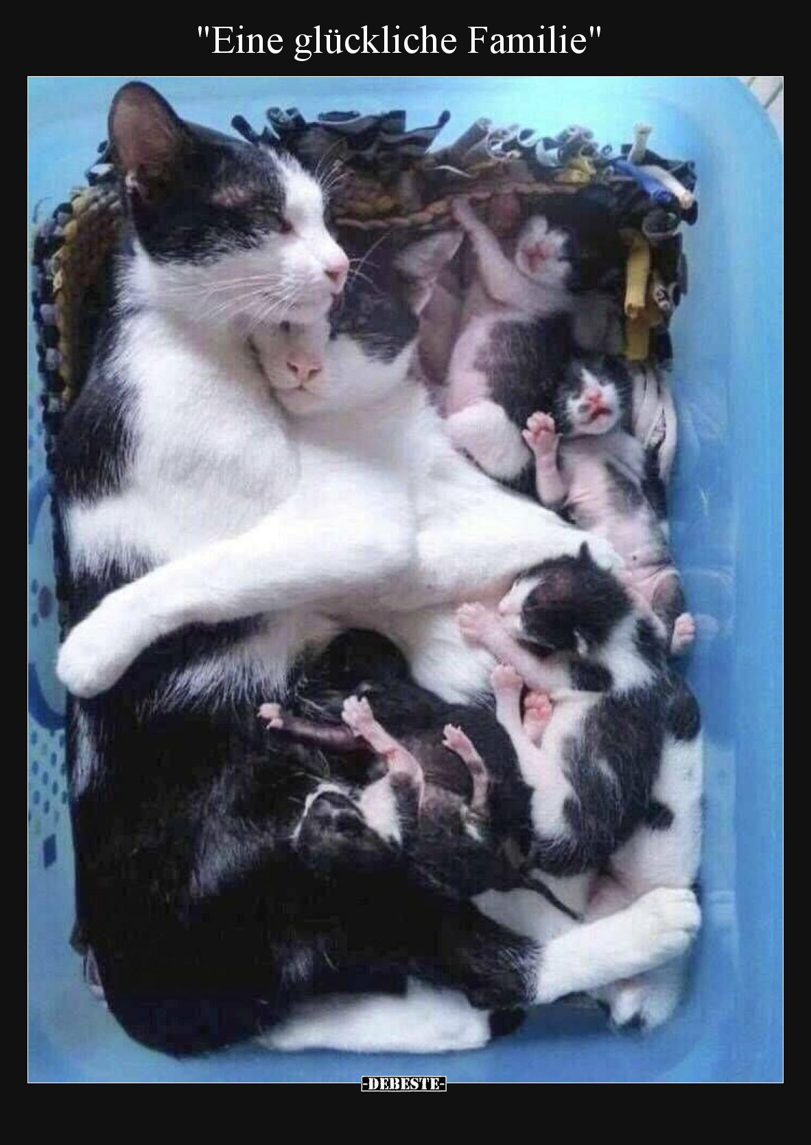 "Eine glückliche Familie".. - Lustige Bilder | DEBESTE.de