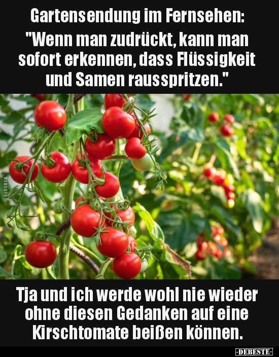 Gartensendung im Fernsehen: "Wenn man zudrückt, kann man.." - Lustige Bilder | DEBESTE.de